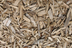 biomass boilers Carlops